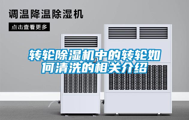欧美黄色电影在线播放 转轮除湿机中的转轮如何清洗的相关介绍