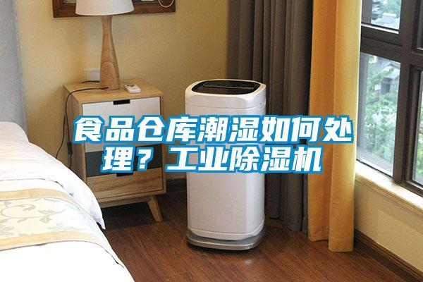 欧美黄色性爱视频网站 食品仓库潮湿如何处理？工业除湿机