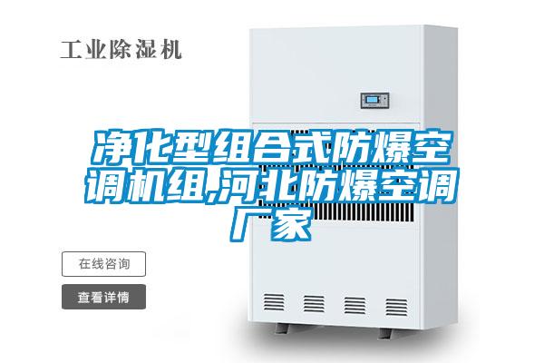 欧美黄色电影在线播放 净化型组合式防爆空调机组,河北防爆空调厂家