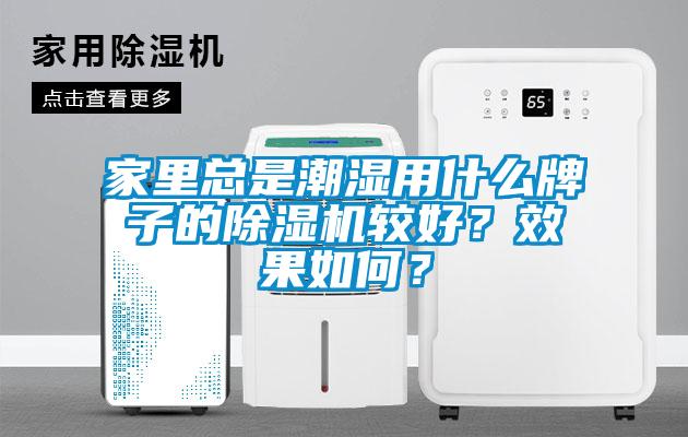 欧美黄色性爱视频网站 家里总是潮湿用什么牌子的除湿机较好？效果如何？