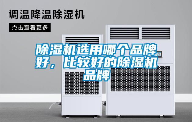 欧美黄色性爱视频网站 除湿机选用哪个品牌好，比较好的除湿机品牌