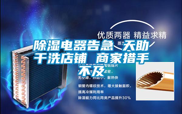 欧美黄色电影在线播放 除湿电器告急 天助干洗店铺 商家措手不及
