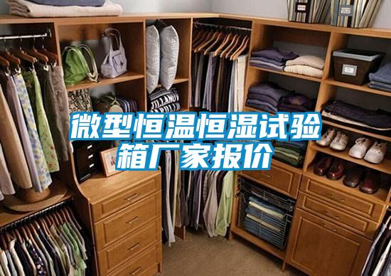 欧美黄色性爱视频网站 微型恒温恒湿试验箱厂家报价
