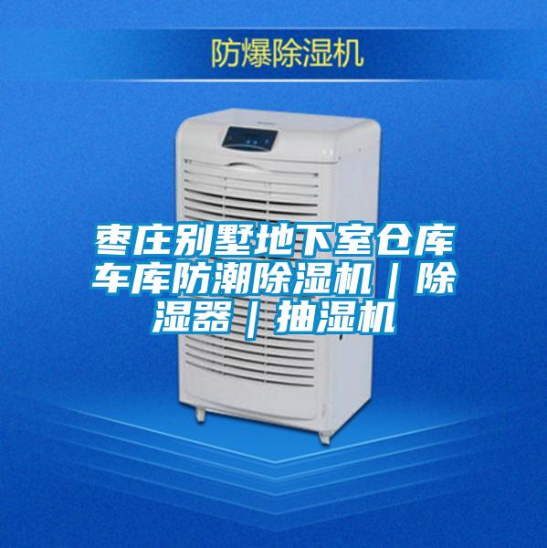 欧美黄色性爱视频网站 枣庄别墅地下室仓库车库防潮除湿机｜除湿器｜抽湿机