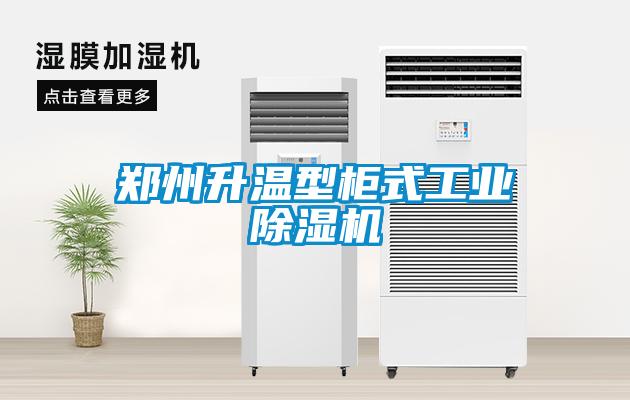 欧美黄色电影在线播放 郑州升温型柜式工业除湿机