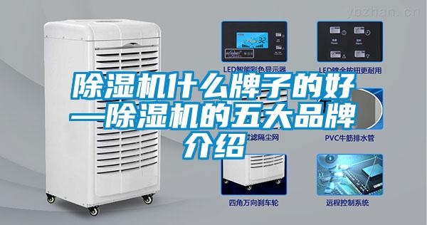 欧美黄色电影在线播放 除湿机什么牌子的好—除湿机的五大品牌介绍