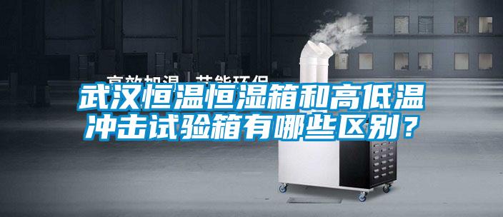 欧美成色手机在线观看 武汉恒温恒湿箱和高低温冲击试验箱有哪些区别？