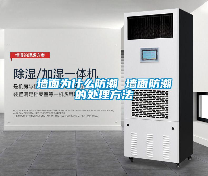 欧美成色手机在线观看 墙面为什么防潮 墙面防潮的处理方法