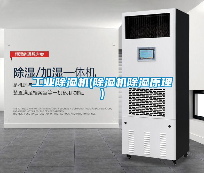 欧美黄色电影在线播放 工业除湿机(除湿机除湿原理)