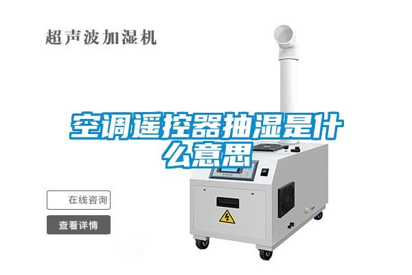 欧美黄色性爱视频网站 空调遥控器抽湿是什么意思