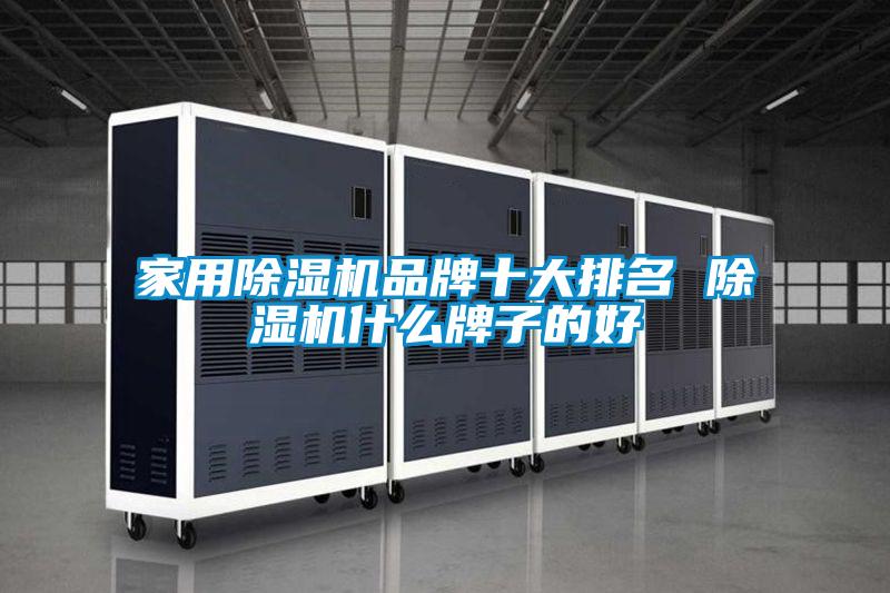 欧美黄色电影在线播放 家用除湿机品牌十大排名 除湿机什么牌子的好