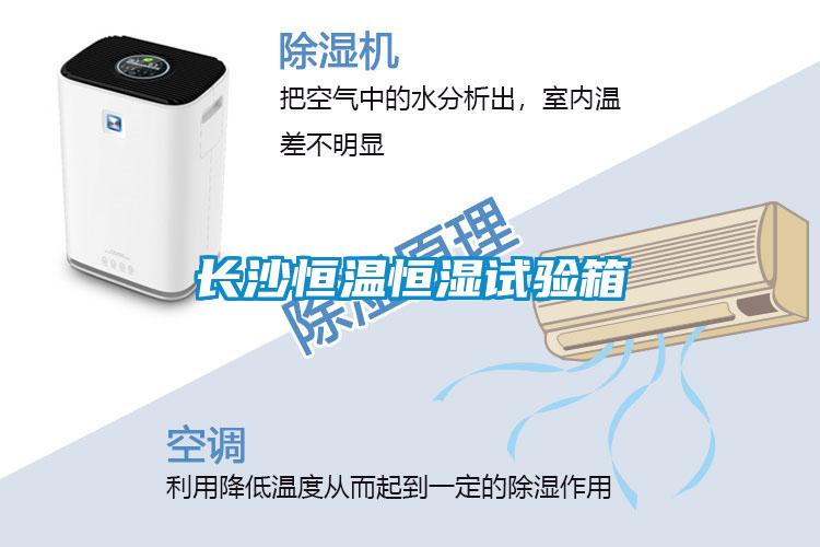 欧美黄色电影在线播放 长沙恒温恒湿试验箱