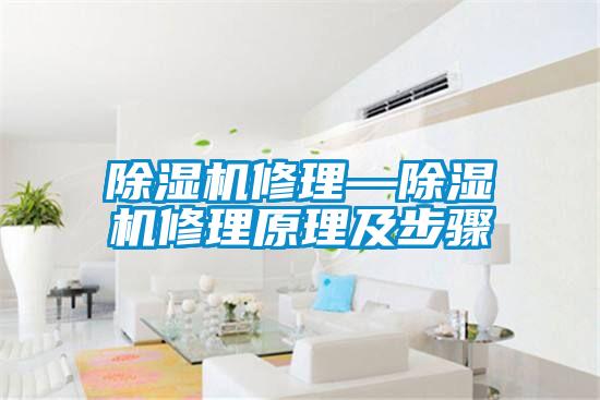 欧美黄色电影在线播放 除湿机修理—除湿机修理原理及步骤