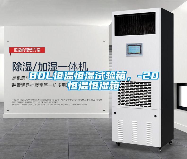 欧美成色手机在线观看 80L恒温恒湿试验箱，-20℃恒温恒湿箱