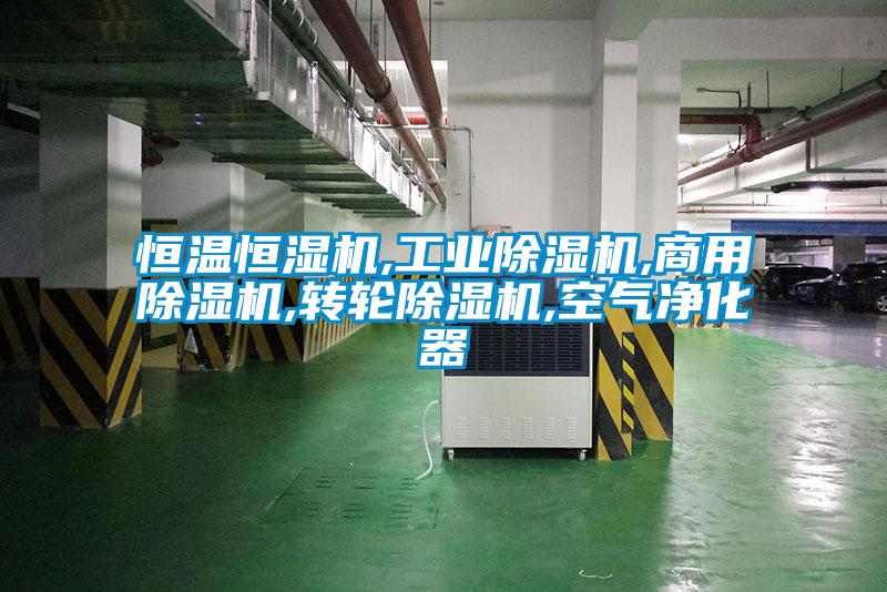 欧美黄色性爱视频网站 恒温恒湿机,工业除湿机,商用除湿机,转轮除湿机,空气净化器