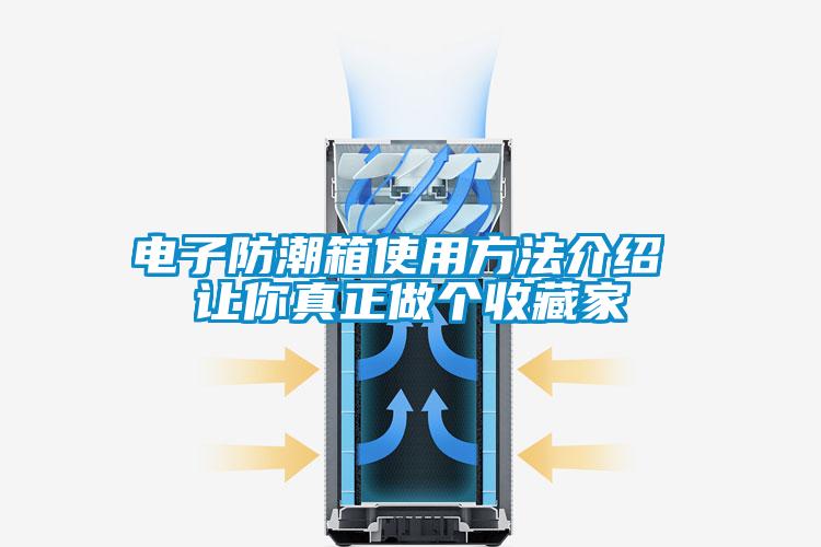 欧美黄色性爱视频网站 电子防潮箱使用方法介绍 让你真正做个收藏家