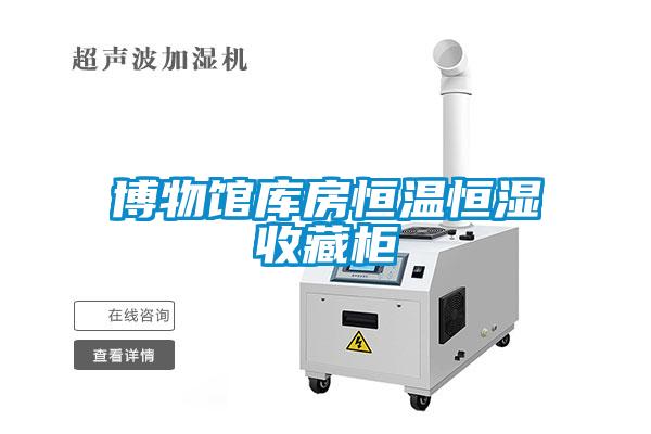 欧美黄色电影在线播放 博物馆库房恒温恒湿收藏柜