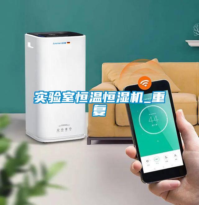 欧美黄色电影在线播放 实验室恒温恒湿机_重复