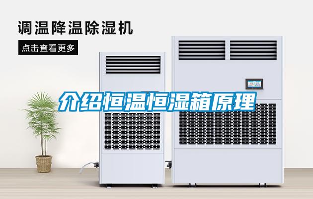 欧美黄色性爱视频网站 介绍恒温恒湿箱原理