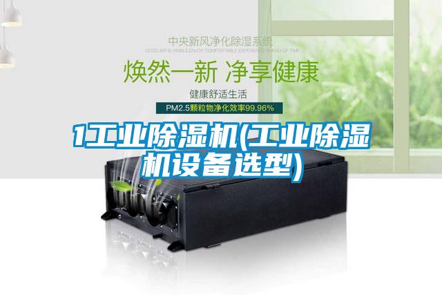 欧美黄色电影在线播放 1工业除湿机(工业除湿机设备选型)