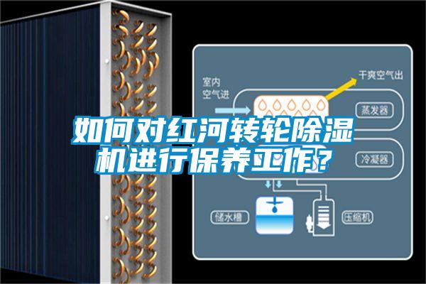 欧美黄色性爱视频网站 如何对红河转轮除湿机进行保养工作？