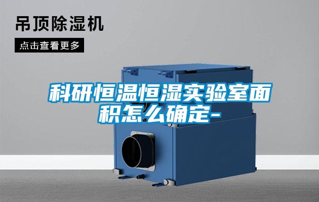 欧美黄色电影在线播放 科研恒温恒湿实验室面积怎么确定-