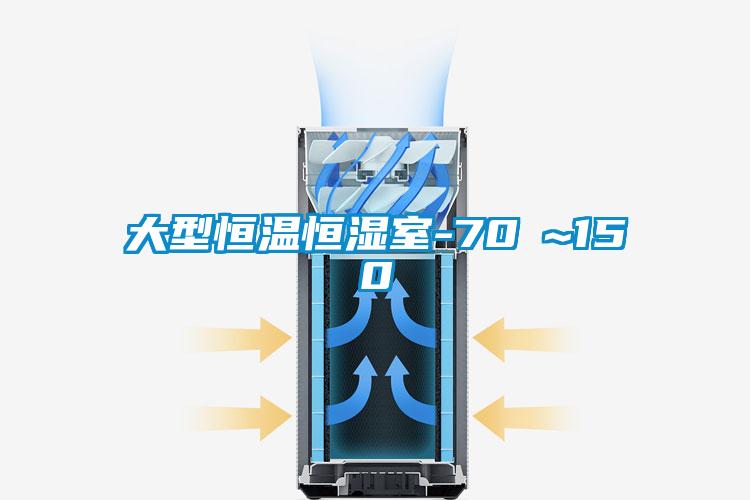 欧美成色手机在线观看 大型恒温恒湿室-70℃~150℃