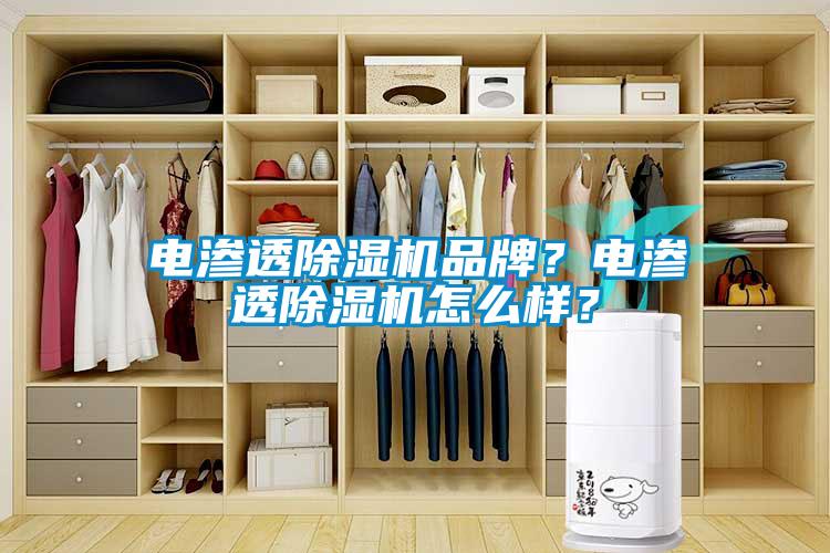 欧美黄色电影在线播放 电渗透除湿机品牌？电渗透除湿机怎么样？