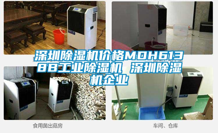 欧美黄色性爱视频网站 深圳除湿机价格MDH6138B工业除湿机 深圳除湿机企业