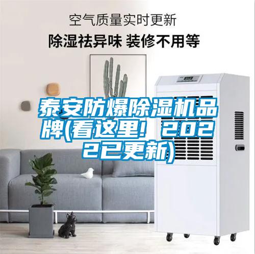 欧美成色手机在线观看 泰安防爆除湿机品牌(看这里! 2022已更新)