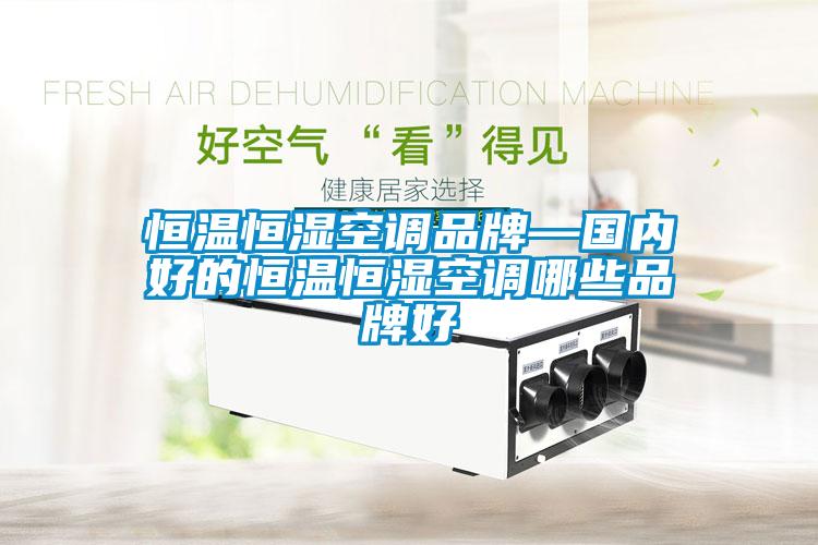 欧美黄色电影在线播放 恒温恒湿空调品牌—国内好的恒温恒湿空调哪些品牌好
