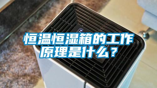欧美黄色电影在线播放 恒温恒湿箱的工作原理是什么？