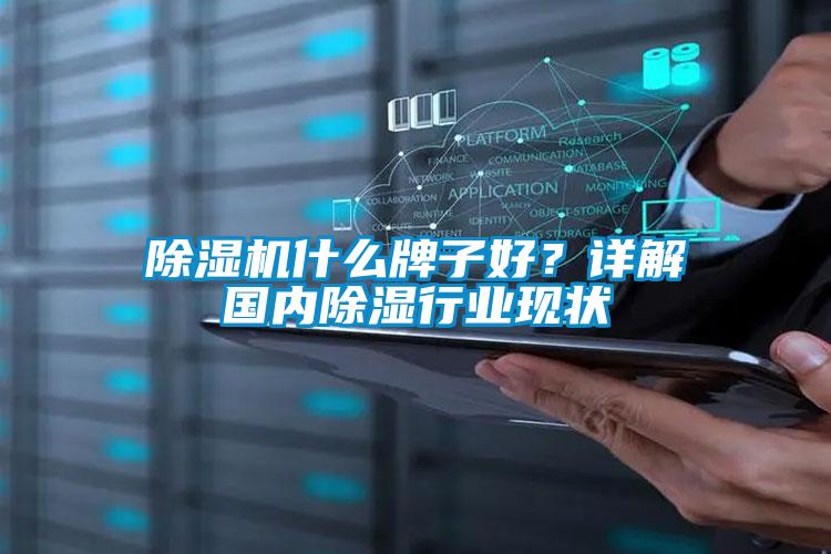 欧美成色手机在线观看 除湿机什么牌子好？详解国内除湿行业现状