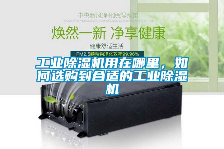欧美黄色电影在线播放 工业除湿机用在哪里，如何选购到合适的工业除湿机