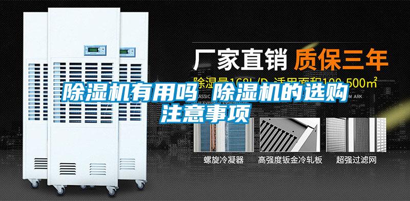 欧美成色手机在线观看 除湿机有用吗 除湿机的选购注意事项
