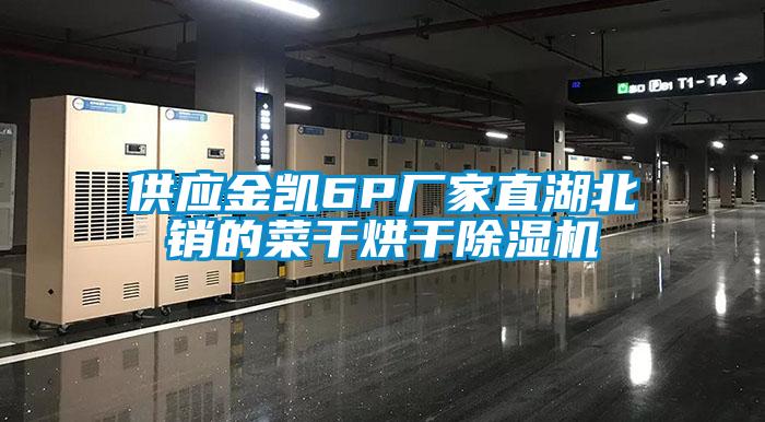 欧美黄色电影在线播放 供应金凯6P厂家直湖北销的菜干烘干除湿机