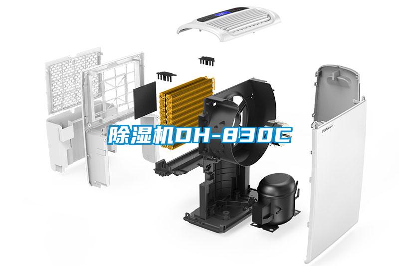 欧美成色手机在线观看 除湿机DH-830C