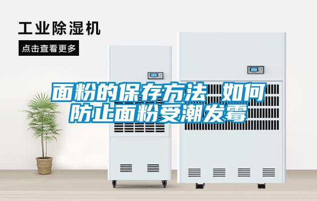 欧美黄色性爱视频网站 面粉的保存方法 如何防止面粉受潮发霉