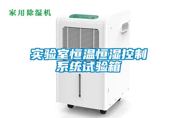 欧美黄色性爱视频网站 实验室恒温恒湿控制系统试验箱