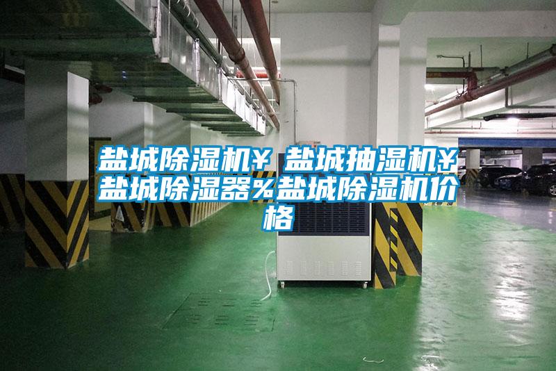 欧美黄色性爱视频网站 盐城除湿机￥盐城抽湿机￥盐城除湿器%盐城除湿机价格