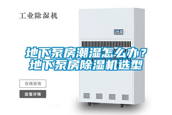 欧美成色手机在线观看 地下泵房潮湿怎么办？地下泵房除湿机选型