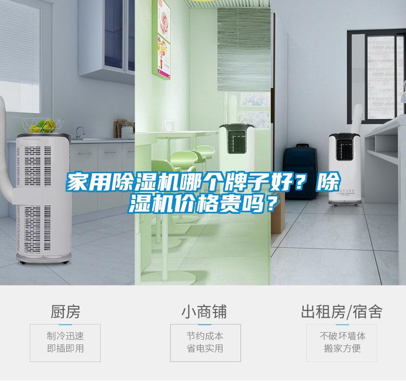 欧美黄色电影在线播放 家用除湿机哪个牌子好？除湿机价格贵吗？