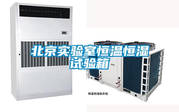 欧美黄色性爱视频网站 北京实验室恒温恒湿试验箱