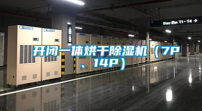 欧美黄色电影在线播放 开闭一体烘干除湿机（7P、14P）