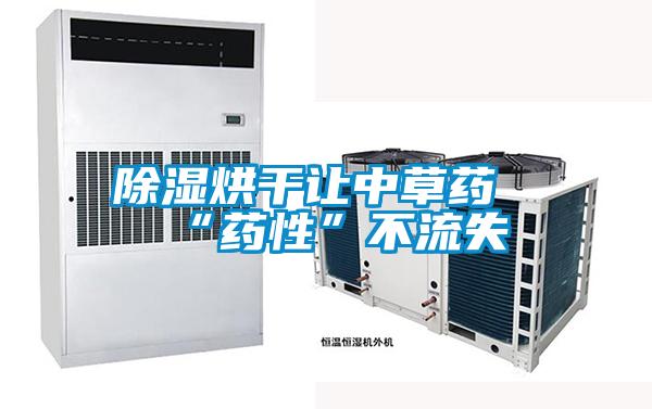 欧美黄色电影在线播放 除湿烘干让中草药“药性”不流失