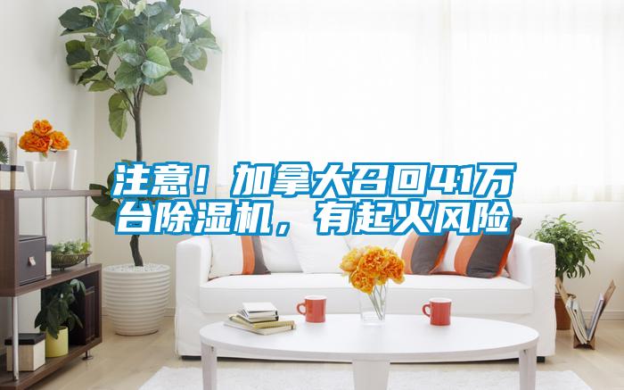 欧美黄色性爱视频网站 注意！加拿大召回41万台除湿机，有起火风险