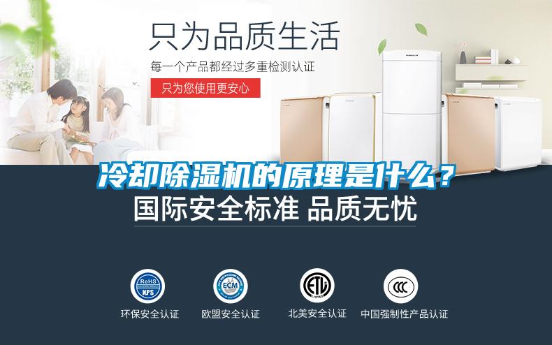 欧美成色手机在线观看 冷却除湿机的原理是什么？