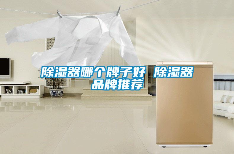 欧美黄色性爱视频网站 除湿器哪个牌子好 除湿器品牌推荐