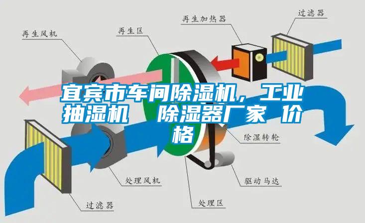 欧美黄色性爱视频网站 宜宾市车间除湿机，工业抽湿机  除湿器厂家 价格