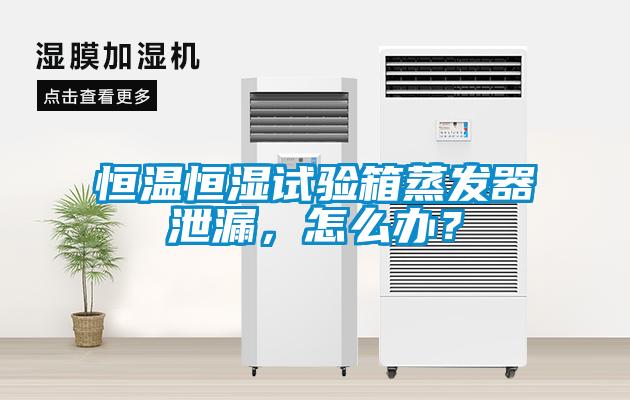 欧美黄色性爱视频网站 恒温恒湿试验箱蒸发器泄漏，怎么办？